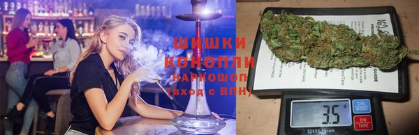 стаф Магадан