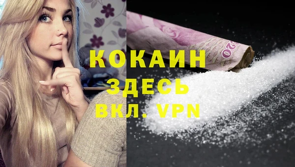 стаф Магадан