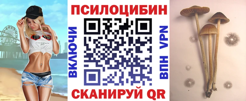 наркота  Гаврилов Посад  darknet какой сайт  Псилоцибиновые грибы мухоморы 